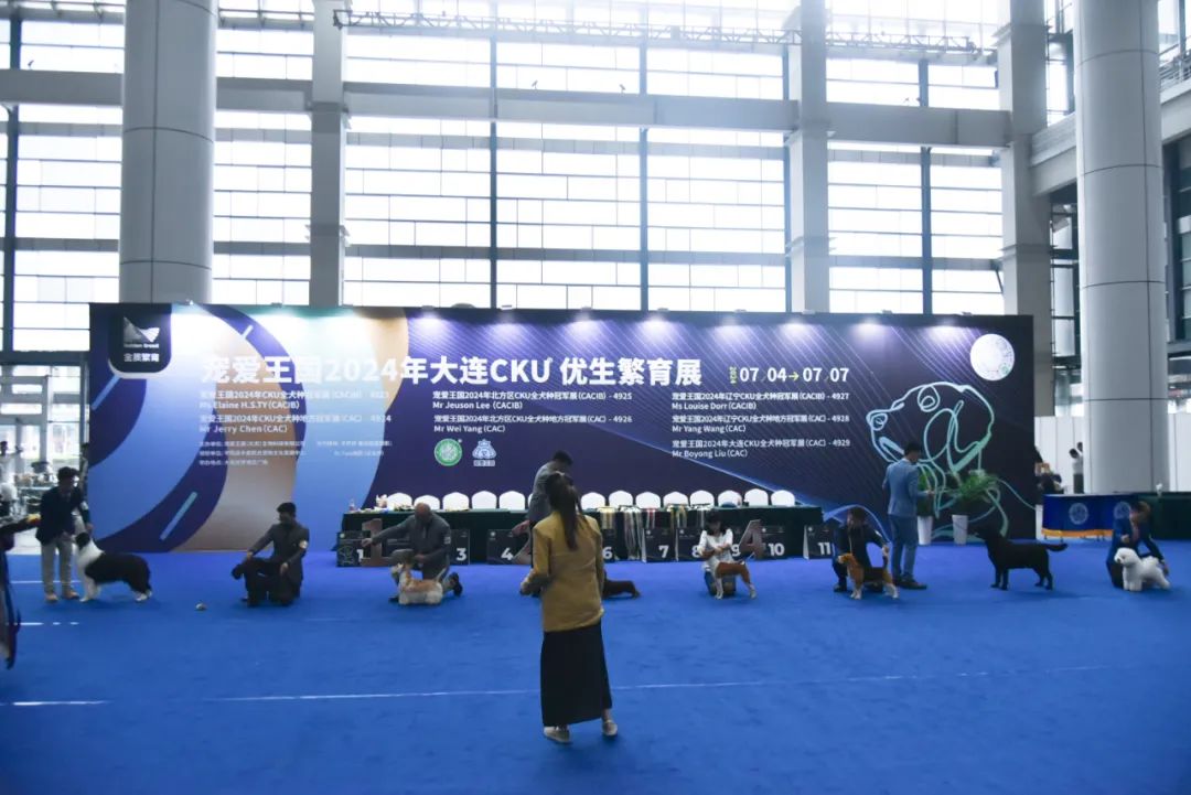1-240G0093105138.jpg